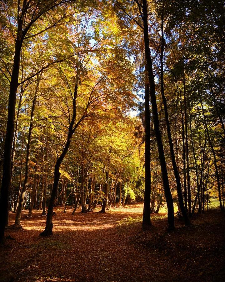 Camera De Le Rondole, Maso Postel - 500 Mt Strada Sterrata Pergine Valsugana Εξωτερικό φωτογραφία